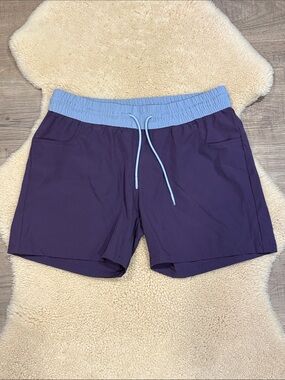 Level Six board shorts, swim shorts, eggplant purple with light blue, size 6